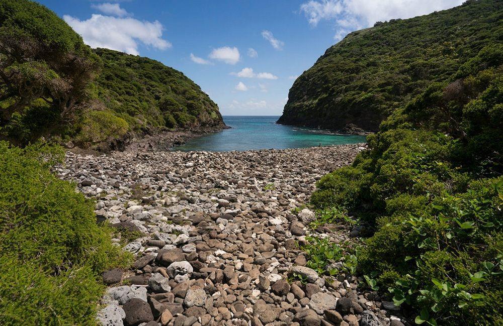 Arajilla Retreat * Lord Howe Island