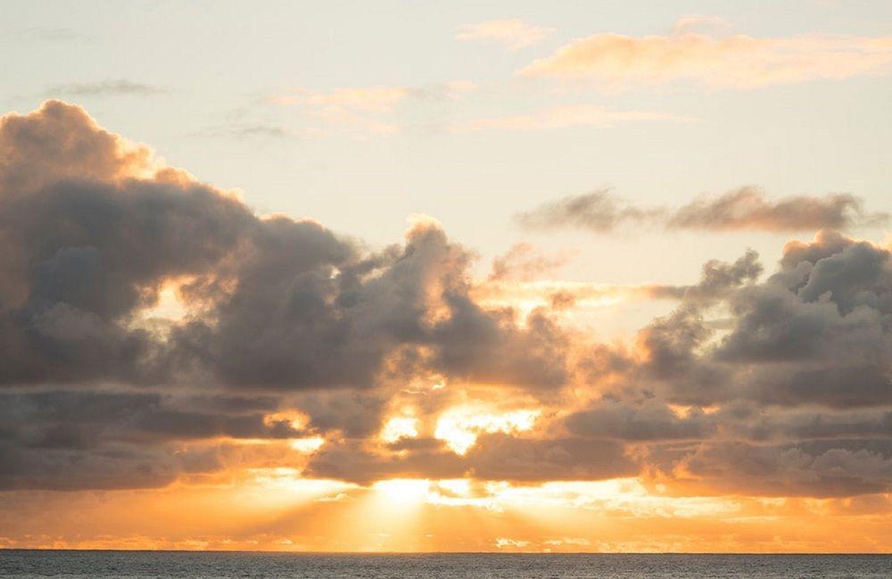 Arajilla Retreat * Lord Howe Island