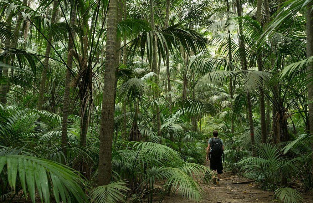Arajilla Retreat Lodge Lord Howe Island