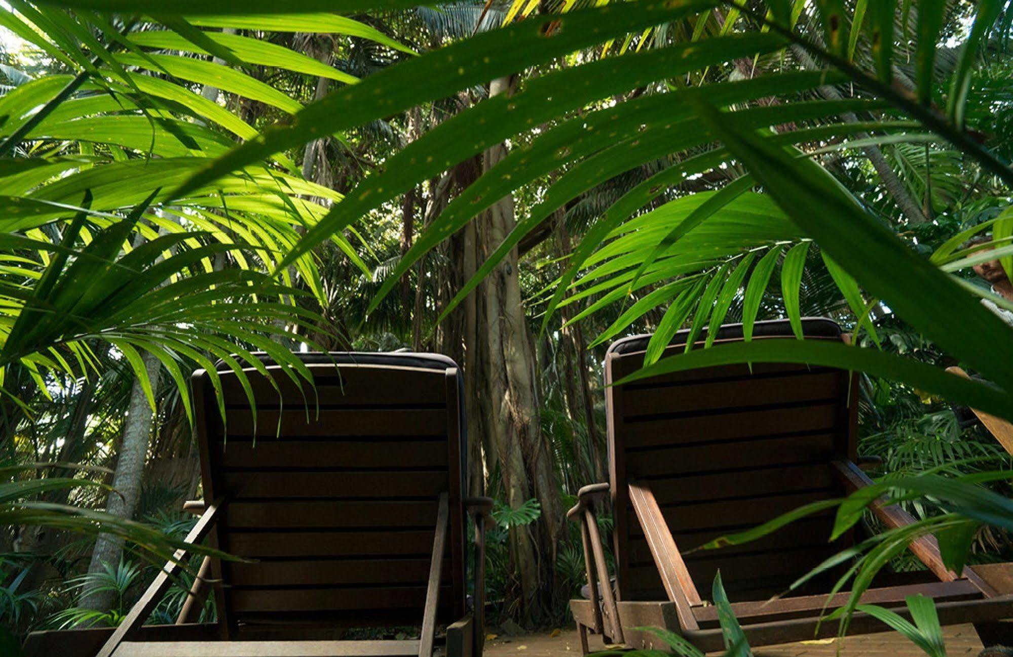 Arajilla Retreat Lord Howe Island